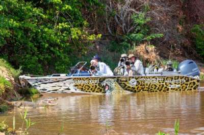 WhatsApp Image 2022-03-25 at 10.47.52.jpeg